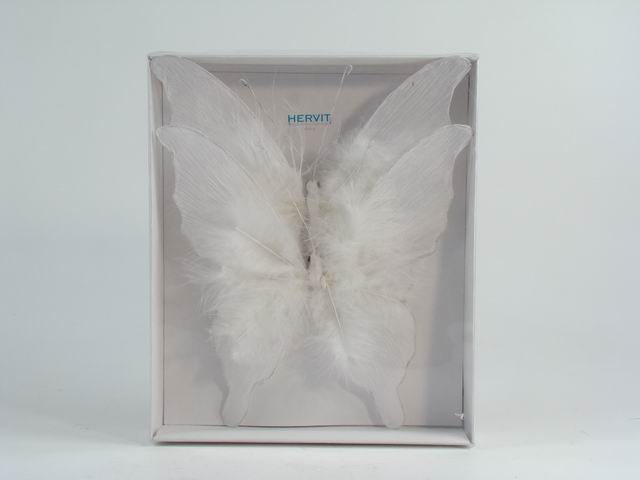 FARFALLE BOX 2 CLIP 24cm CARTA/P. 18810