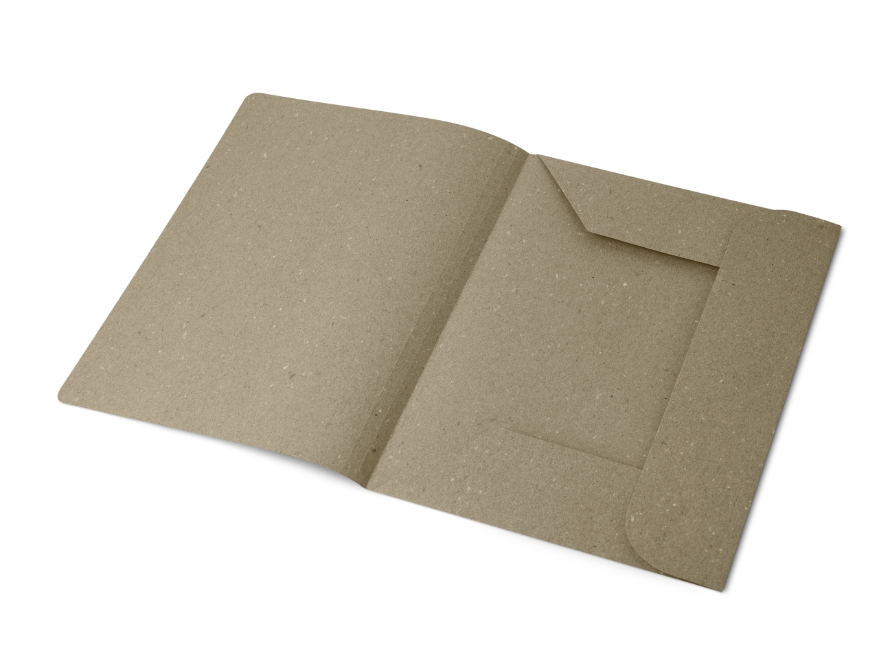 CARTELLE SEMPLICI ECO 50pz 0221803GR