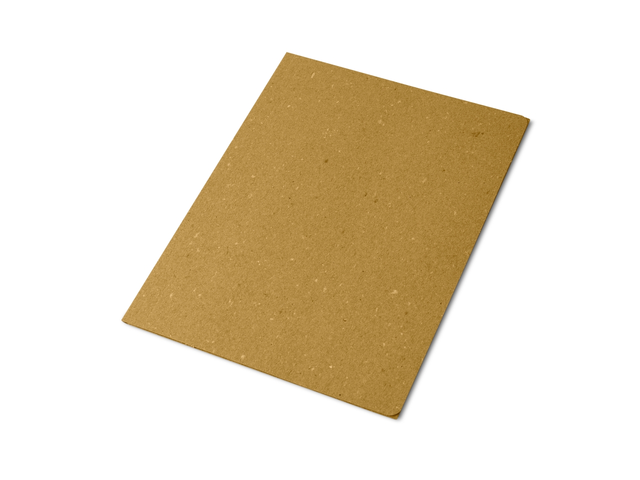 CARTELLE SEMPLICI ECO 50pz 0221803GI