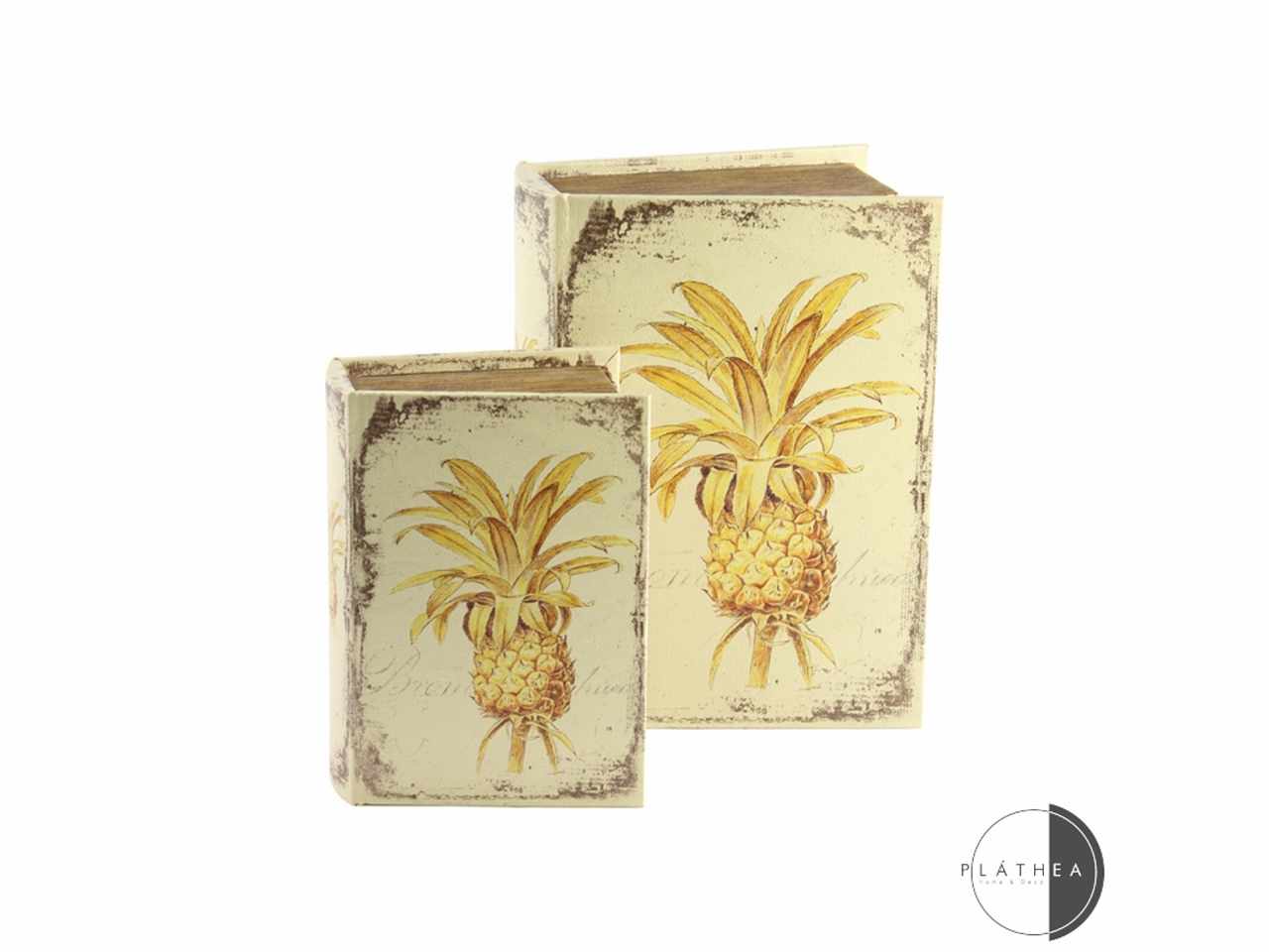 ANANAS LIBRO CONTENITORE IN LEGN 133051