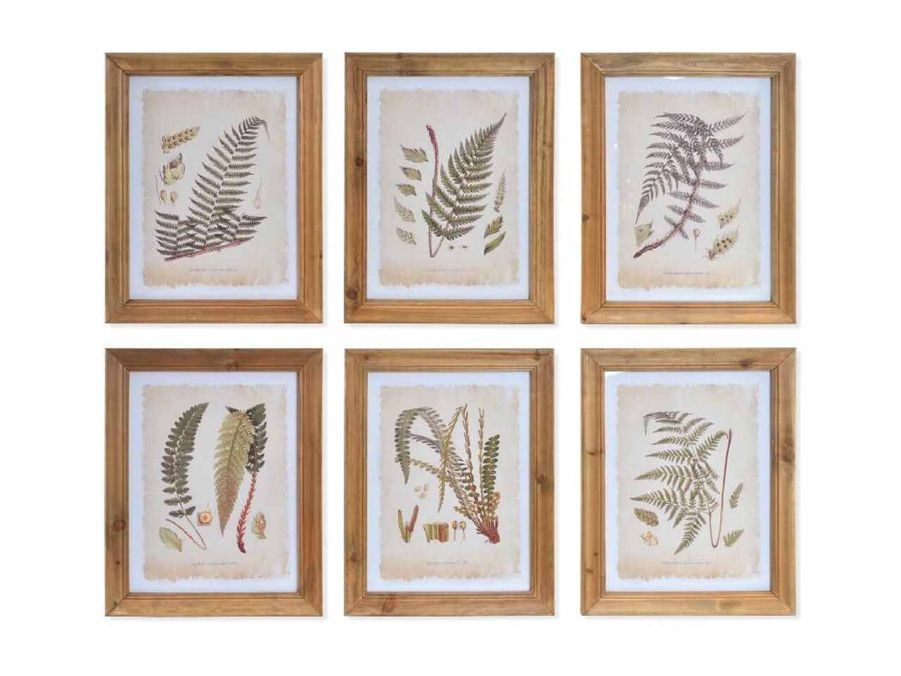 QUADRO 35x45cm FOGLIE CU-186429 QUADRO 35x45cm FOGLIE CU-186429