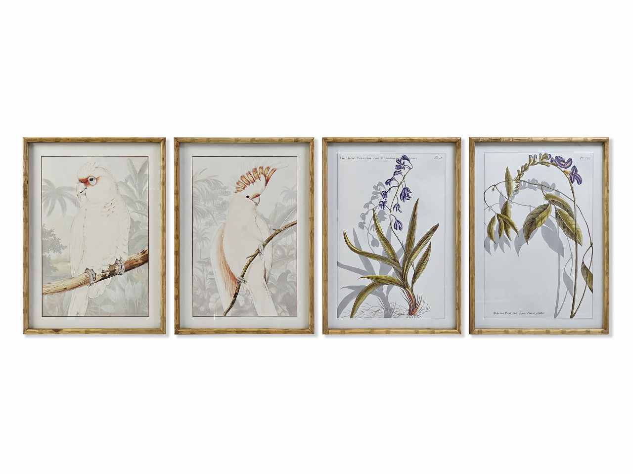 QUADRO 50x70cm BOTANICO CU-187490 QUADRO 50x70cm BOTANICO CU-187490