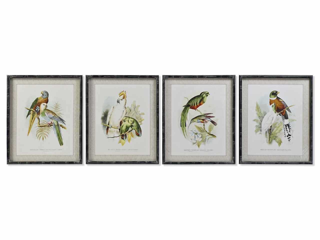 QUADRO 50x2x60cm UCCELLI ASS.CU-187494 QUADRO 50x2x60cm UCCELLI ASS.CU-187494