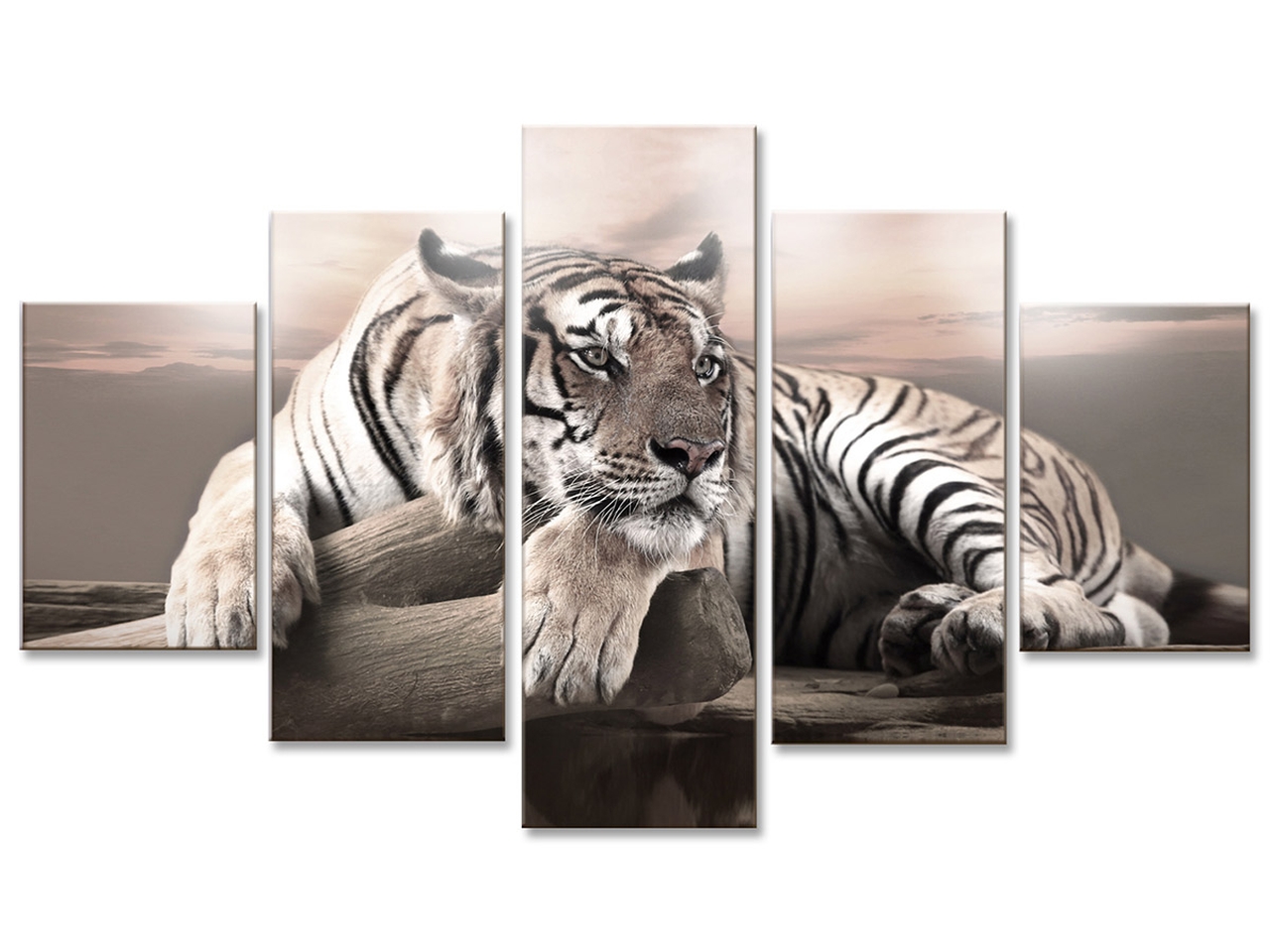 QUANDRO VOGUE 105X160CM TIGRE 95965