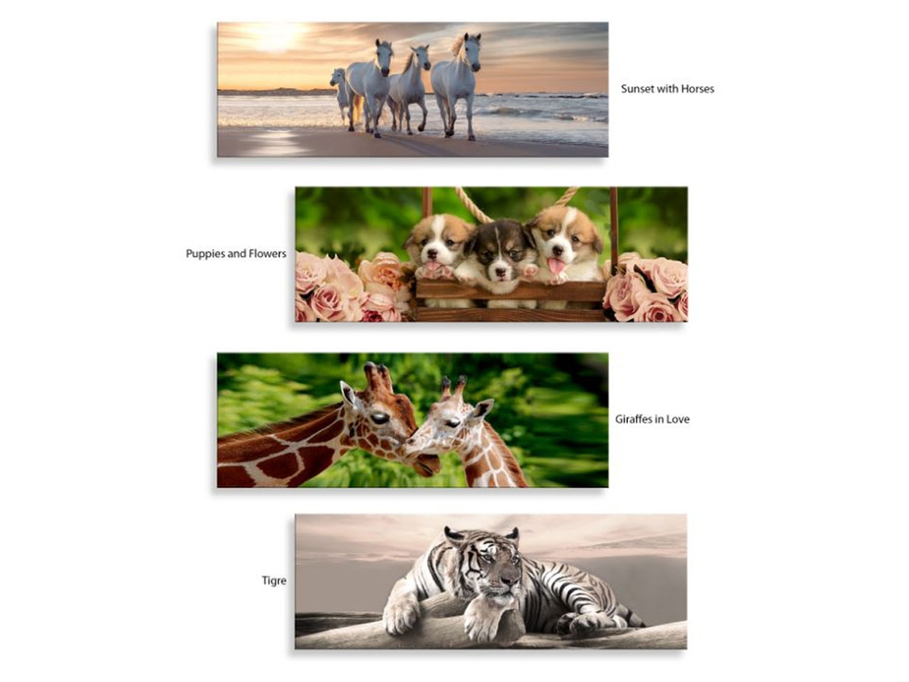 QUADRO DEEP 38X110 ANIMALS UNITED 97667 QUADRO DEEP 38X110 ANIMALS UNITED 97667