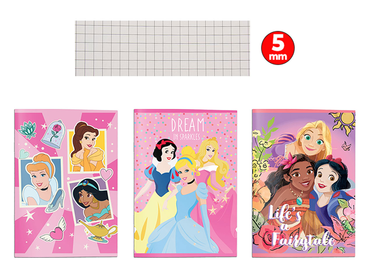 PRINCESS MAXI QUADERNO 5M 12PZ 564588M5