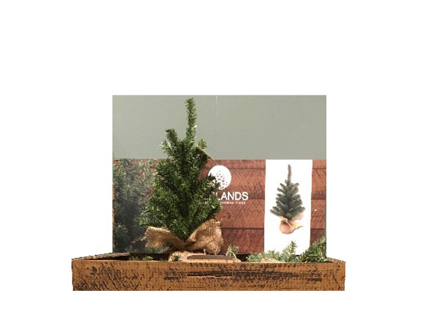 ALBERO DI NATALE MINI IMPERIALE 687620