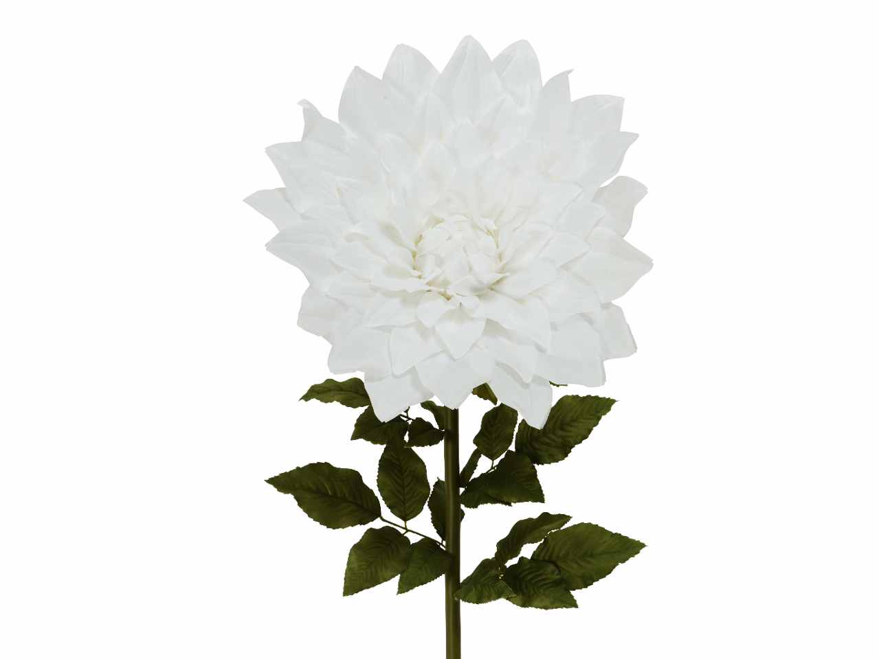 DALIA H.145cm BIANCA 801437 DALIA H.145cm BIANCA 801437