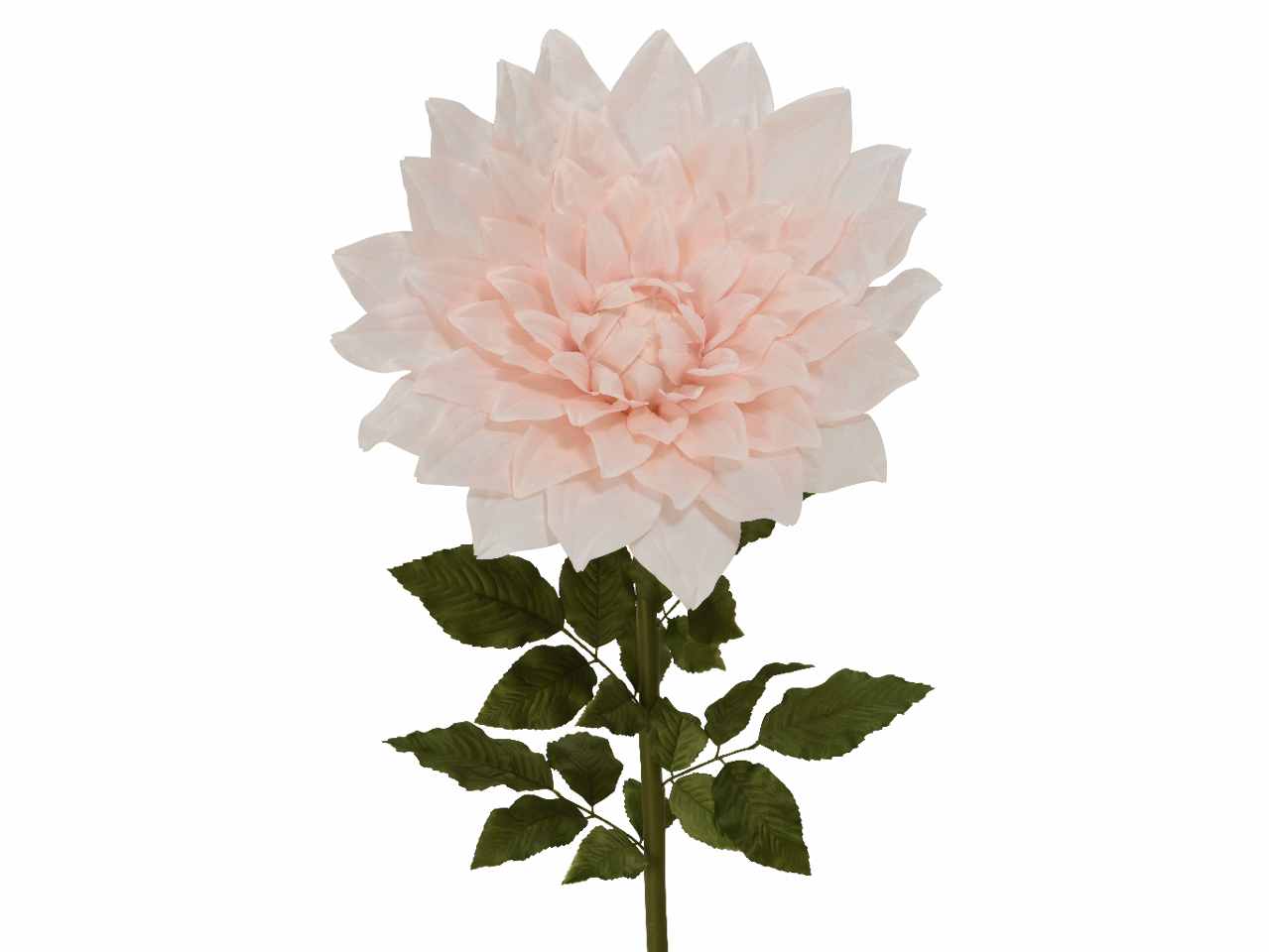 DALIA H.145cm ROSA 801438 DALIA H.145cm ROSA 801438