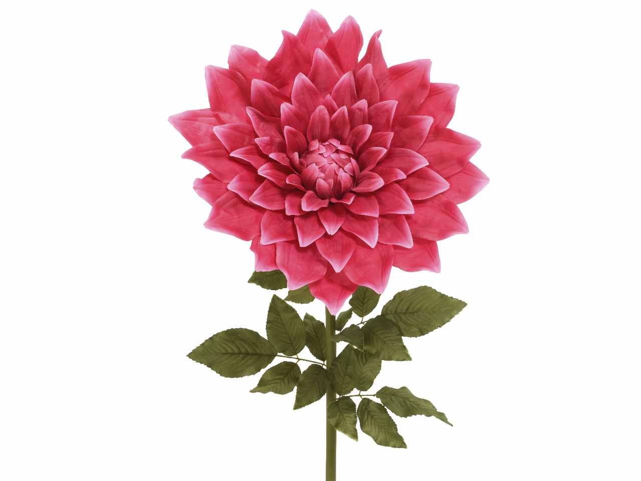 DALIA H.145cm FUCSIA 801439 DALIA H.145cm FUCSIA 801439