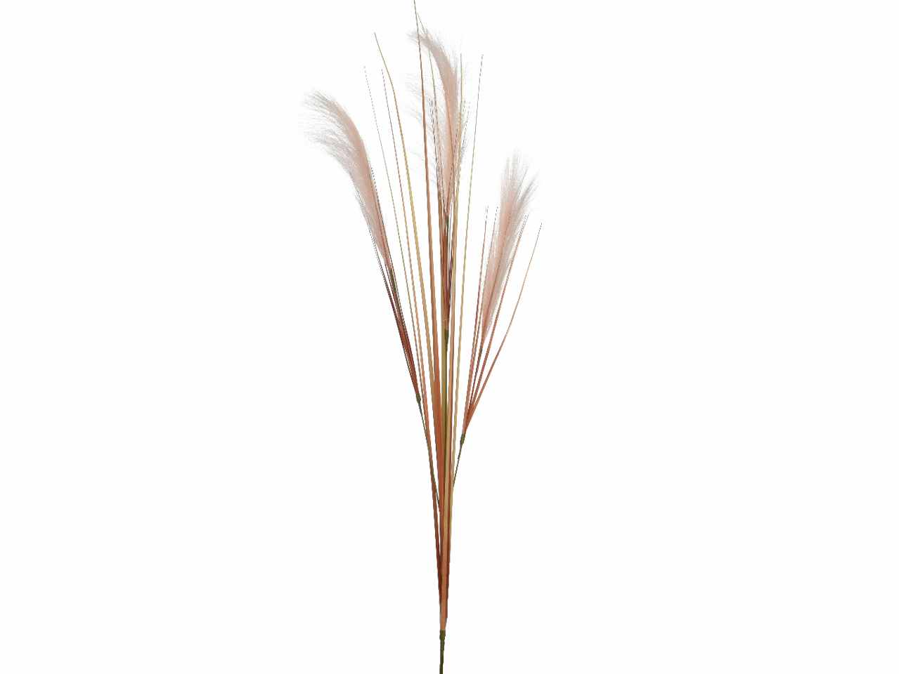 PAMPAS SU STELO IN POLIESTERE CO 801861 PAMPAS SU STELO IN POLIESTERE CO 801861