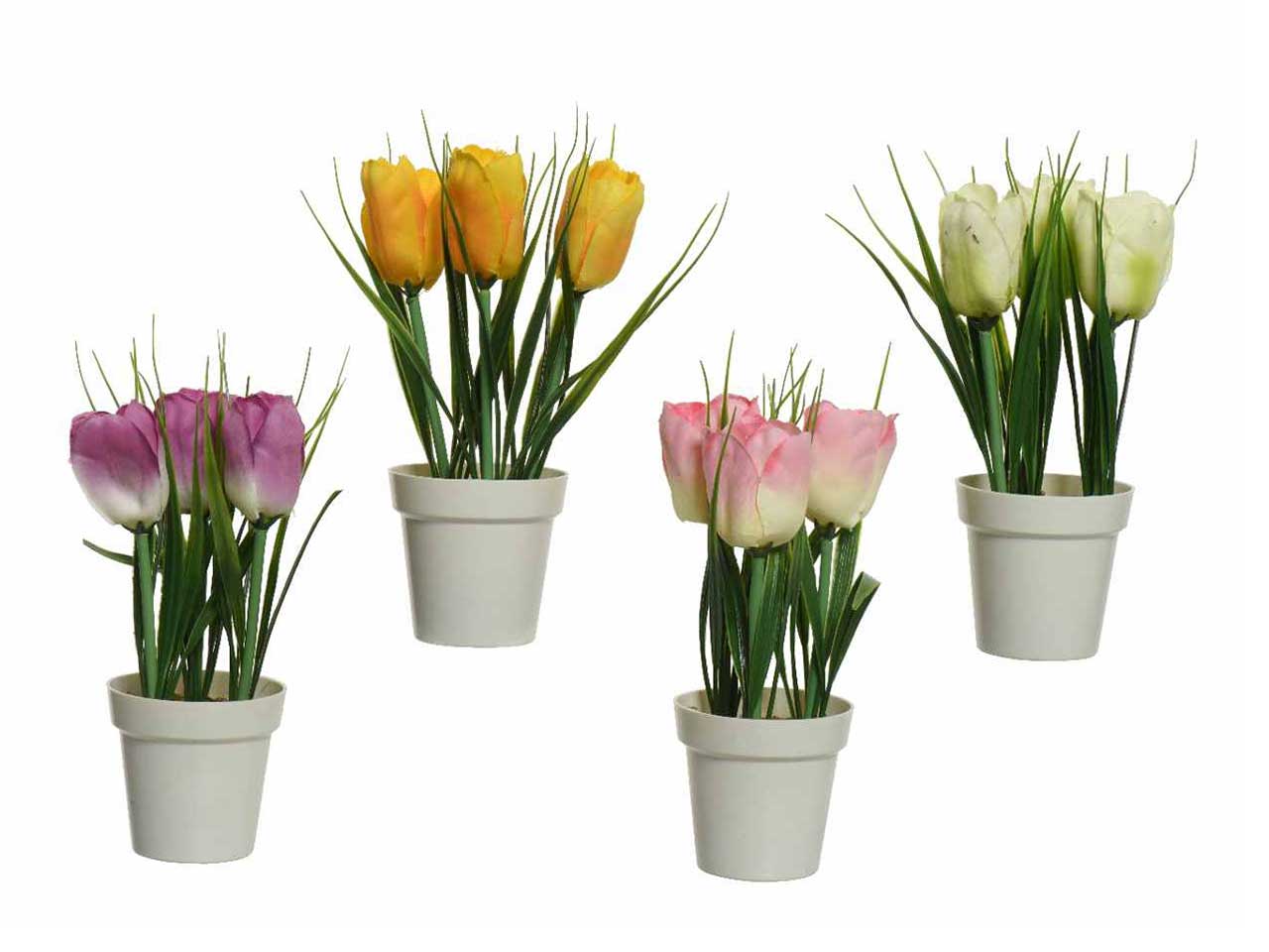 PIANTA DI TULIPANO H.17CM COLORI 800346