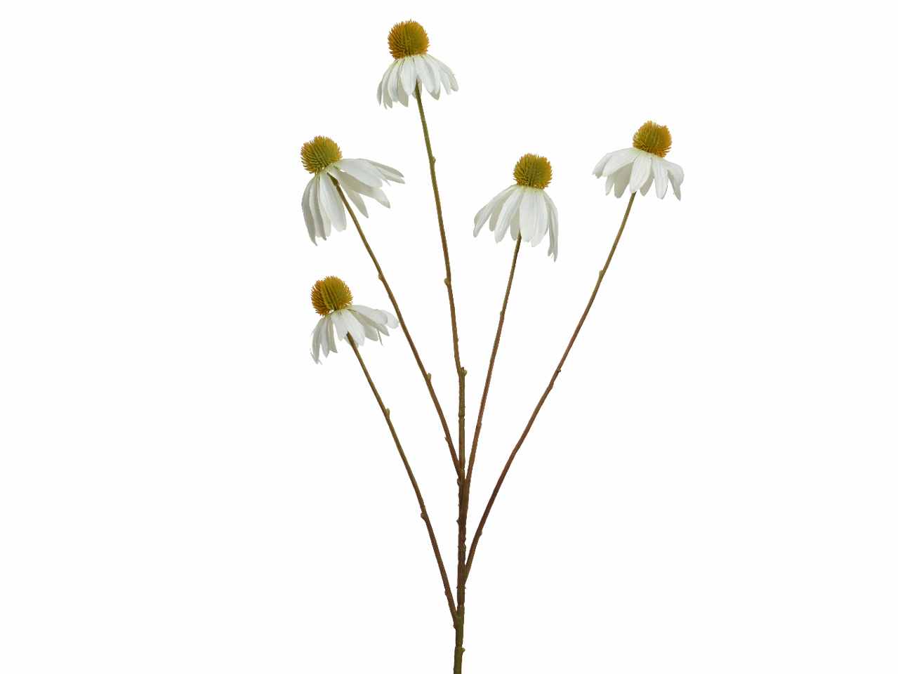 FIORE DI ECHINACEA H.92CM BIANCO 800379