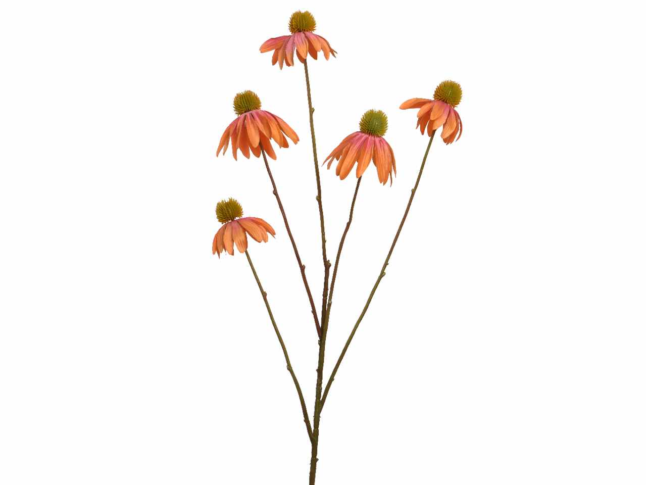 FIORE DI ECHINACEA H.92CM PESCA 800381
