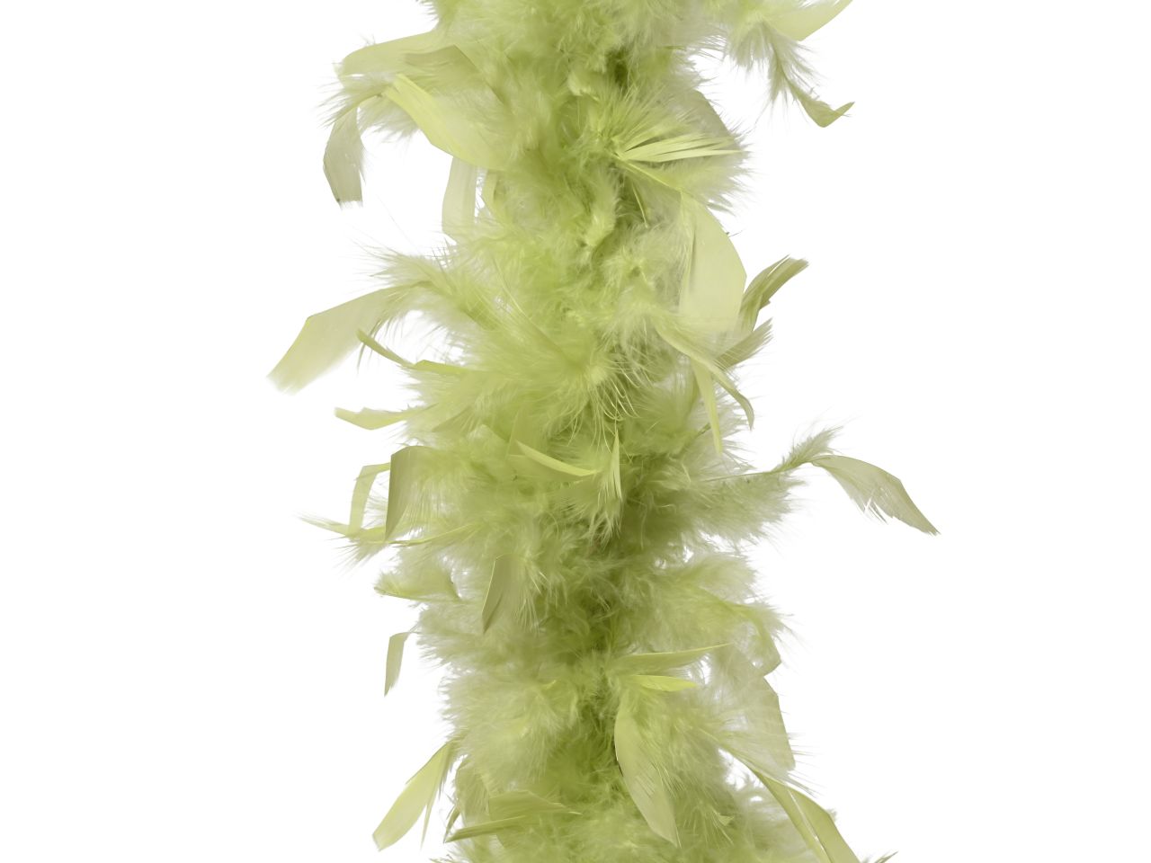 BOA DI PIUME COLORE PISTACCHIO M 448740