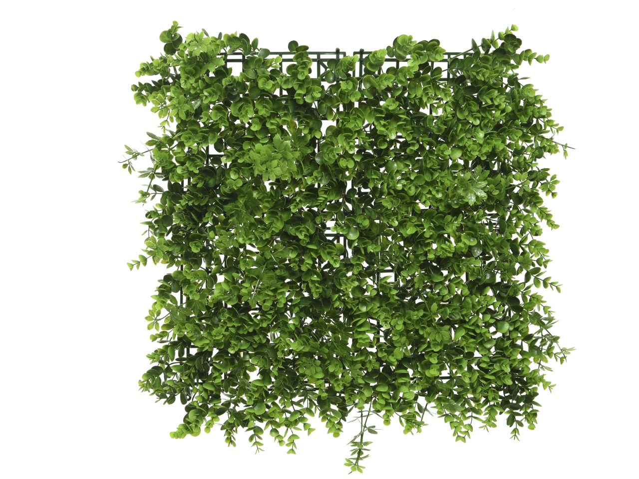 PANNELLO EUCALIPTO 100X100XH11CM 801173 PANNELLO EUCALIPTO 100X100XH11CM 801173