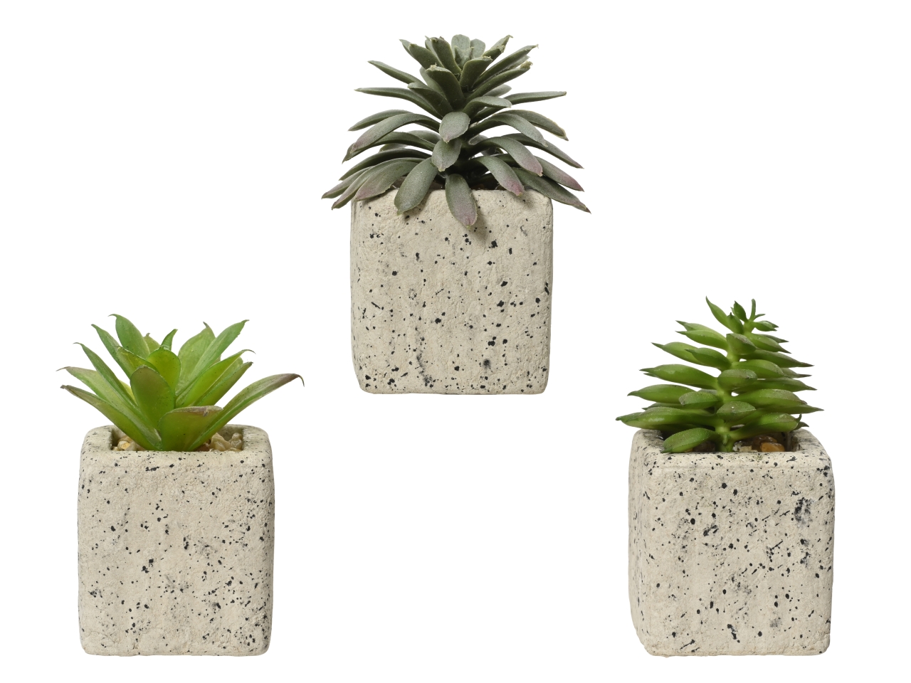 PIANTA SUCCULENTE H.8XD.4,5CM 808560