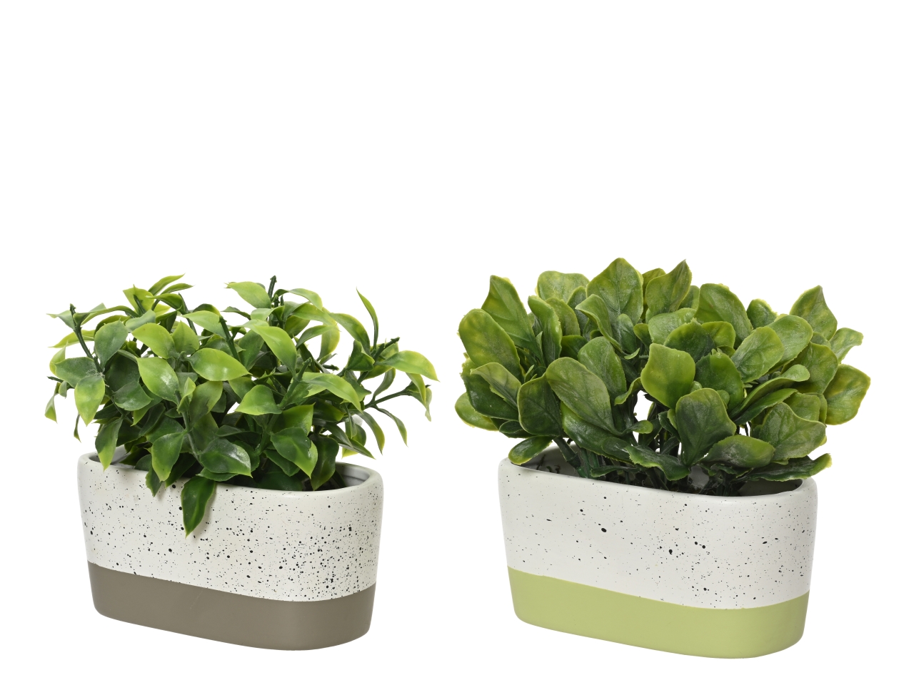 PIANTA VERDE IN VASO 14X7XH.15CM 808610