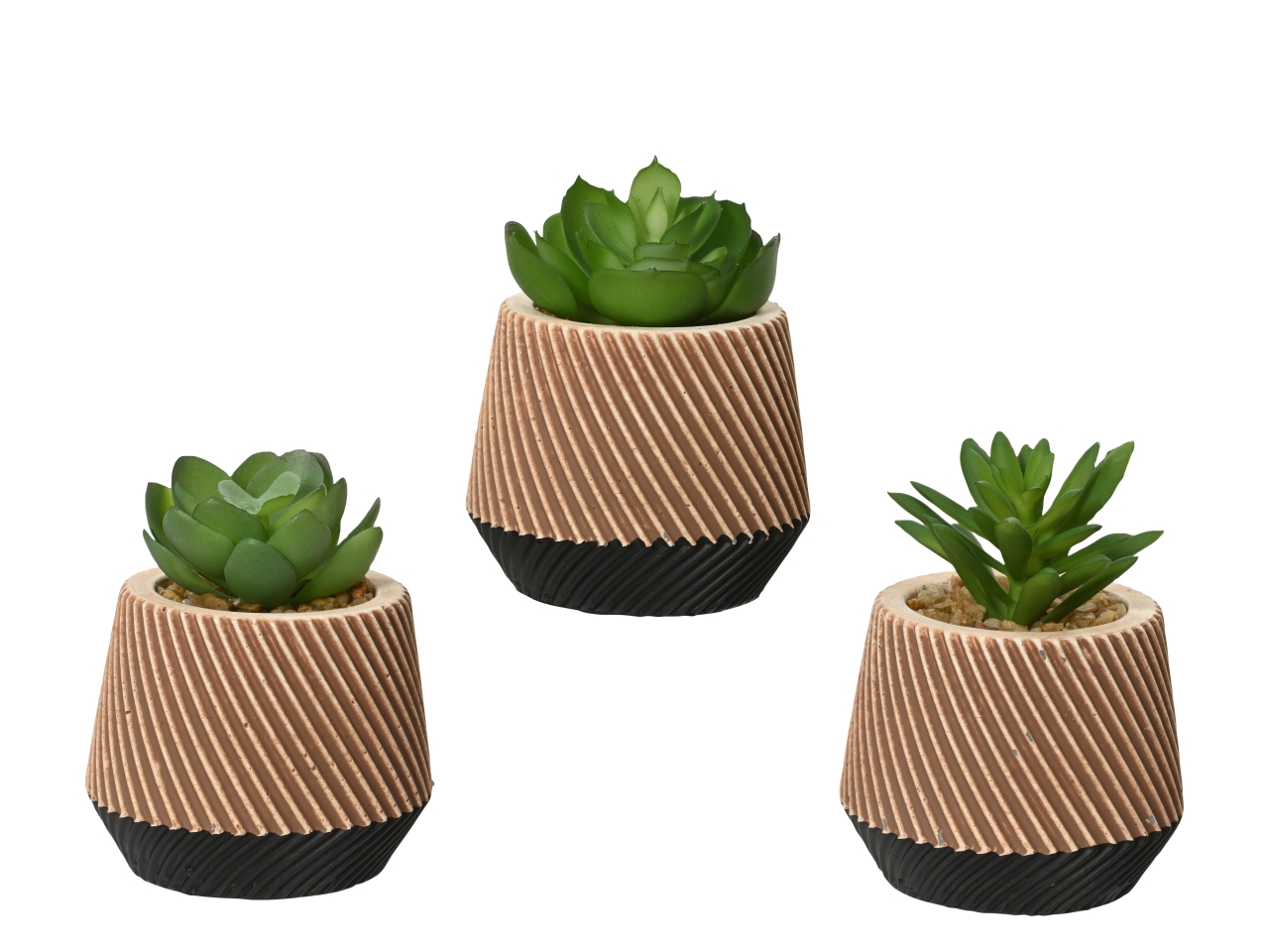 PIANTA IN VASO 7,7XH10CM 809274
