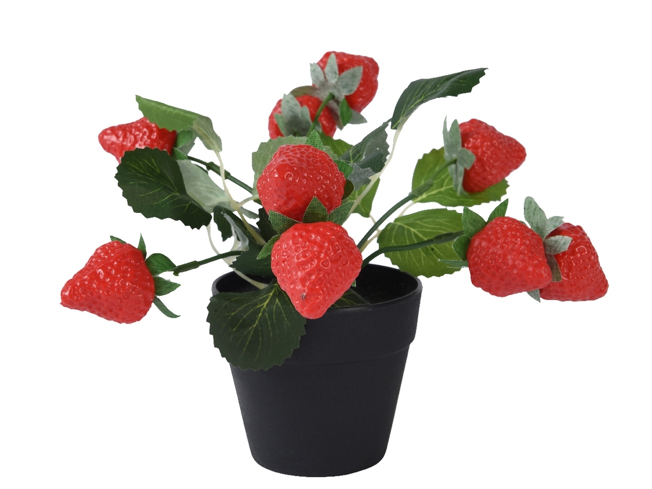 PIANTINA FRAGOLE IN VASO 20X20CM 809661