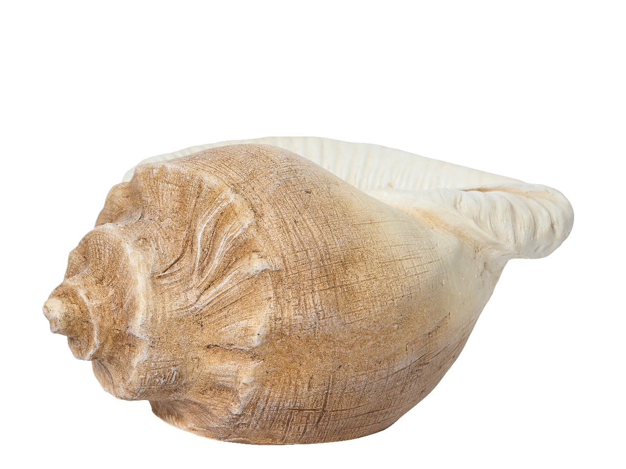 CONCHIGLIA PORTAPIANTA 33X48XH24 811806