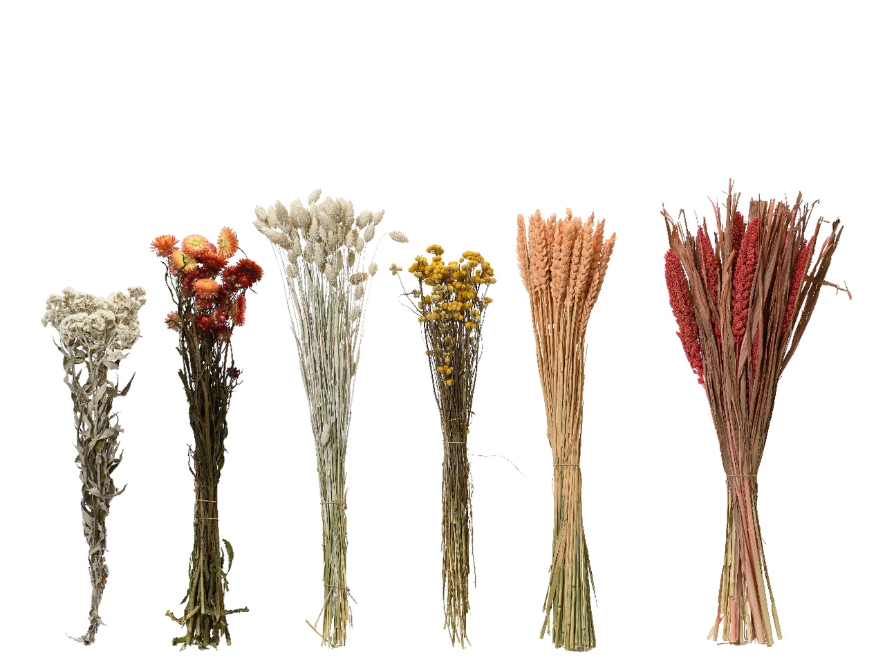 MAZZOLINO FIORI SECCHI 6 ASS. D.14x55CM 863919 MAZZOLINO FIORI SECCHI 6 ASS. D.14x55CM 863919