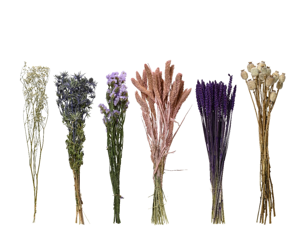 MAZZOLINO FIORI SECCHI 6 ASS. D.14x55CM 863921 MAZZOLINO FIORI SECCHI 6 ASS. D.14x55CM 863921