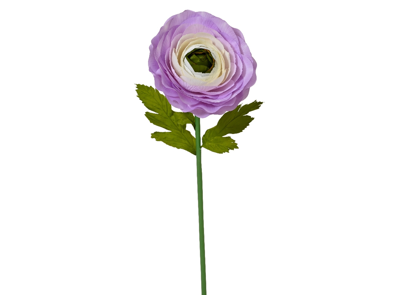 RANUNCOLO VIOLA 35X35X H.125 CM 877700 RANUNCOLO VIOLA 35X35X H.125 CM 877700