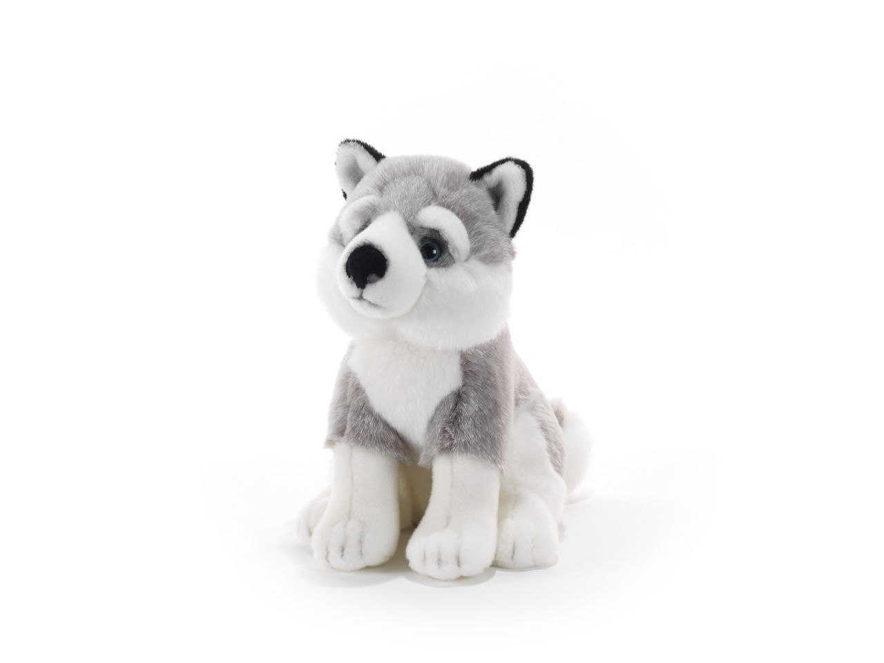PELUCHE TOMSKY HUSKY SIBERIANO M 15753