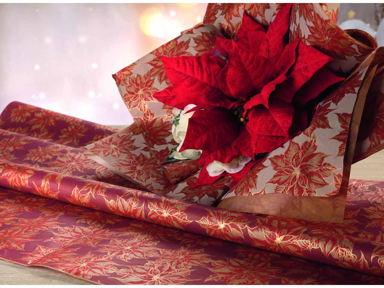 BOBINA CARTA POINSETTIA 1 B-V25SC-LL2NE