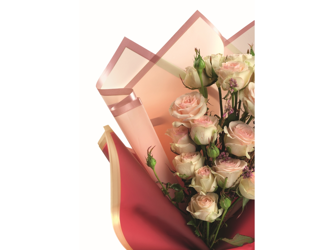 FOGLI 58X58 MATSQUARE12PZ F-861XL-B7GRA