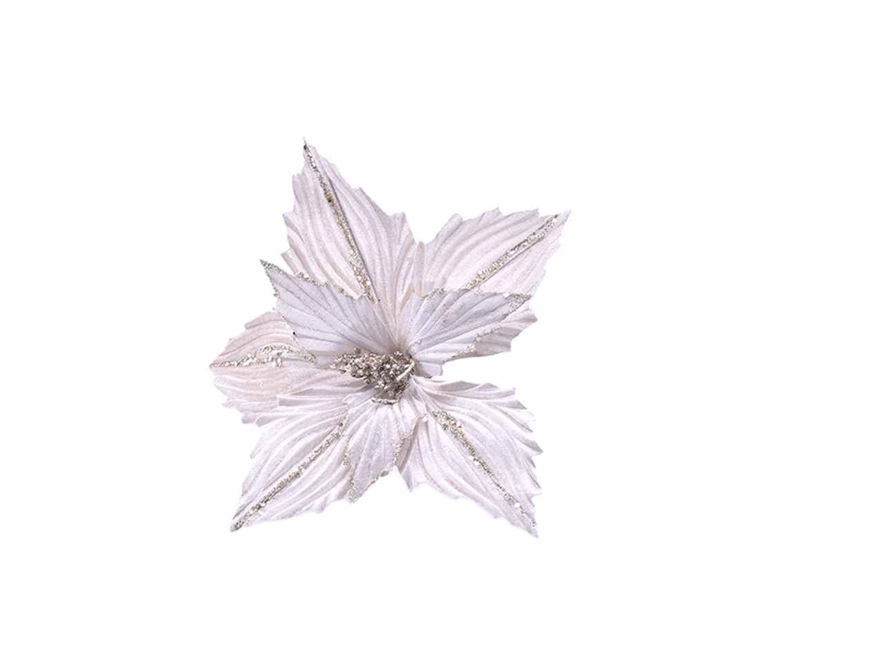 FIORE GAMBO CORTO CHAMPAGNE 306165712