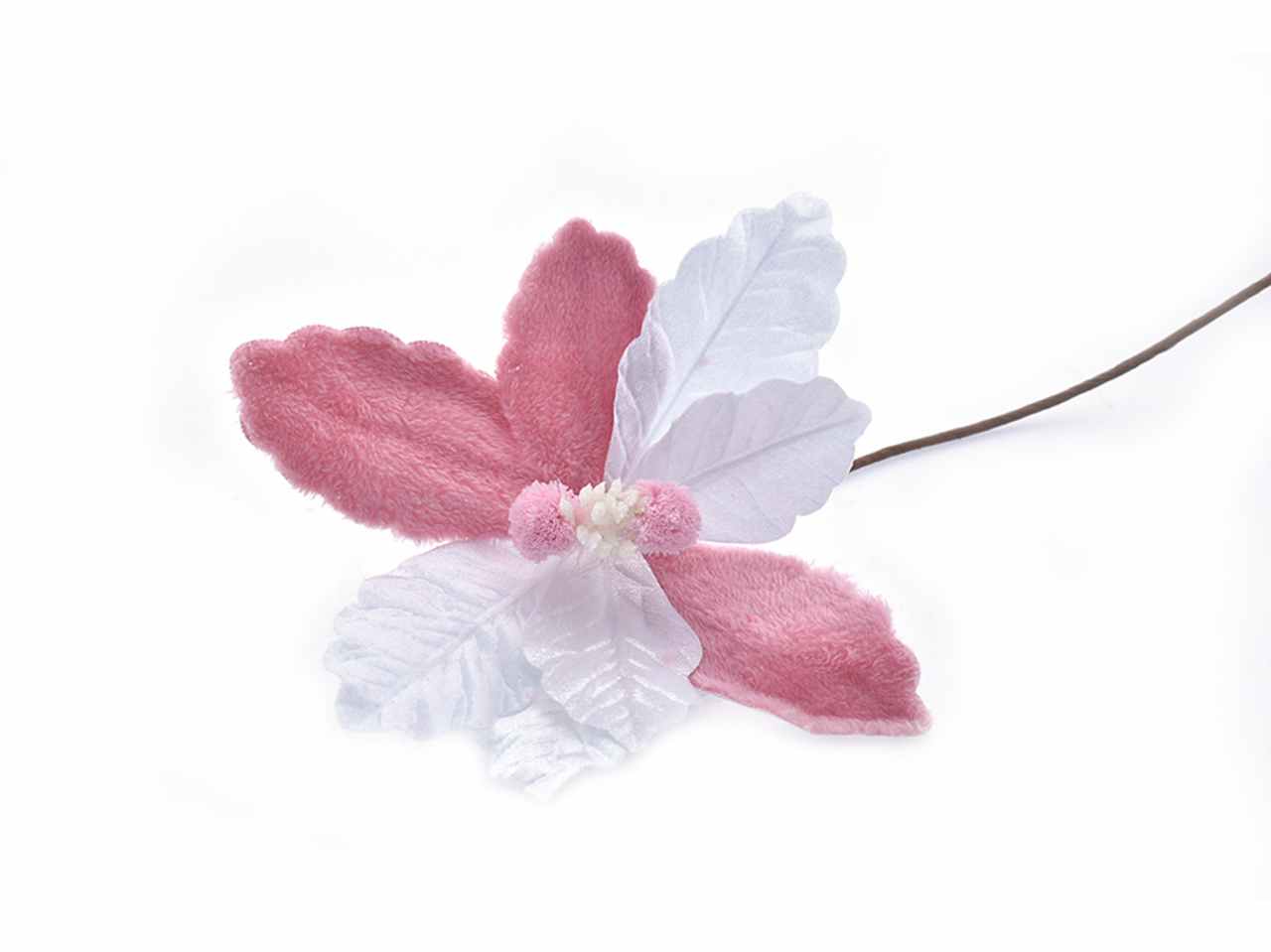 FIORE GAMBO LUNGO 306160562