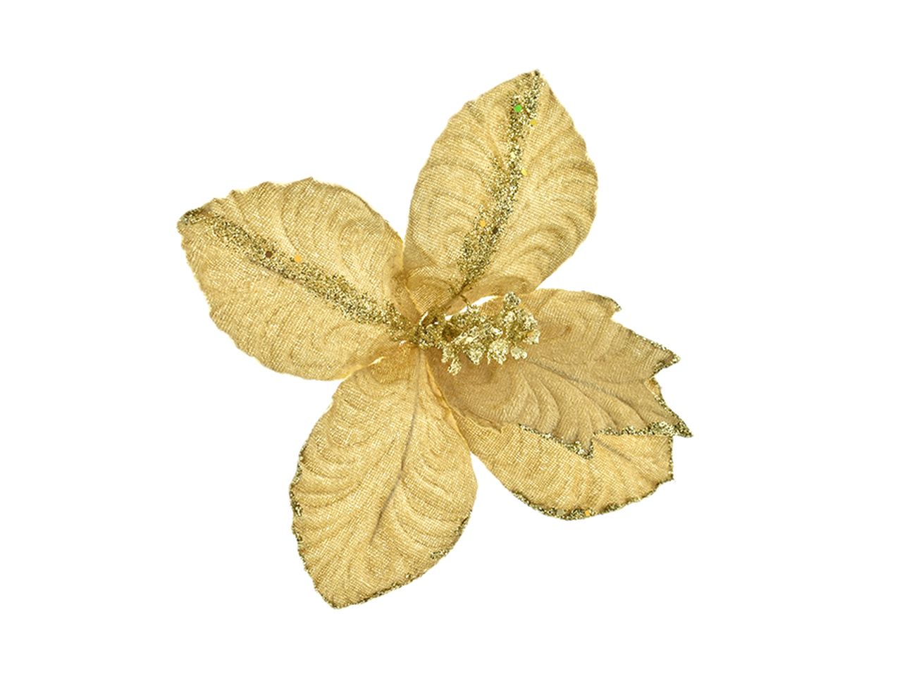 FIORE MISURA SMALL COLORE PA 3061111480