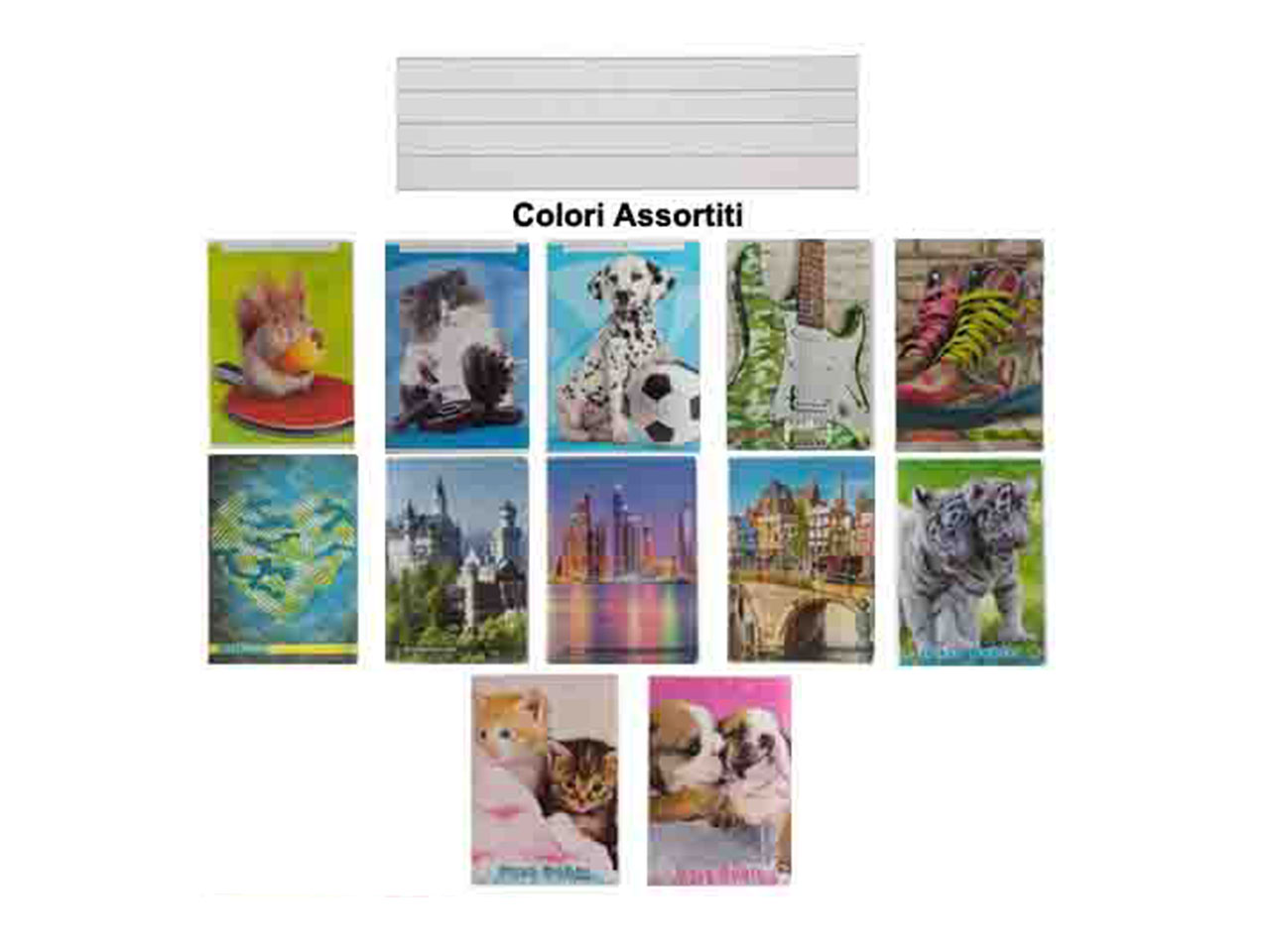 MAXI QUADERNO F.20+1 R.1R 10PZ 5714 $