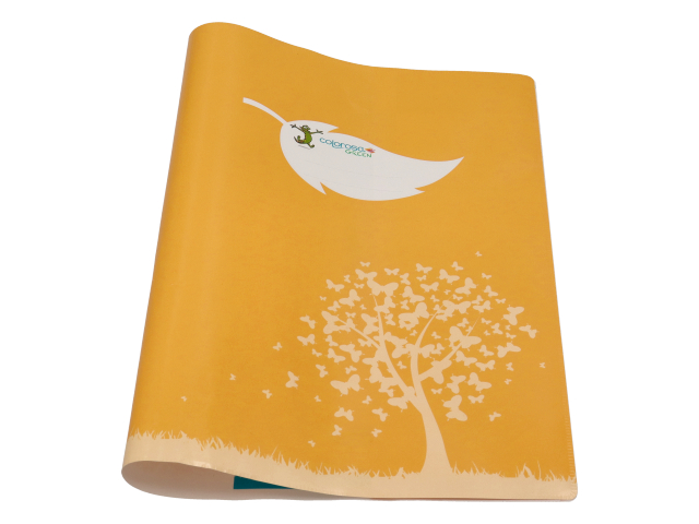 COLOROSA COPERTINA GREEN ARANCIO 3671CG