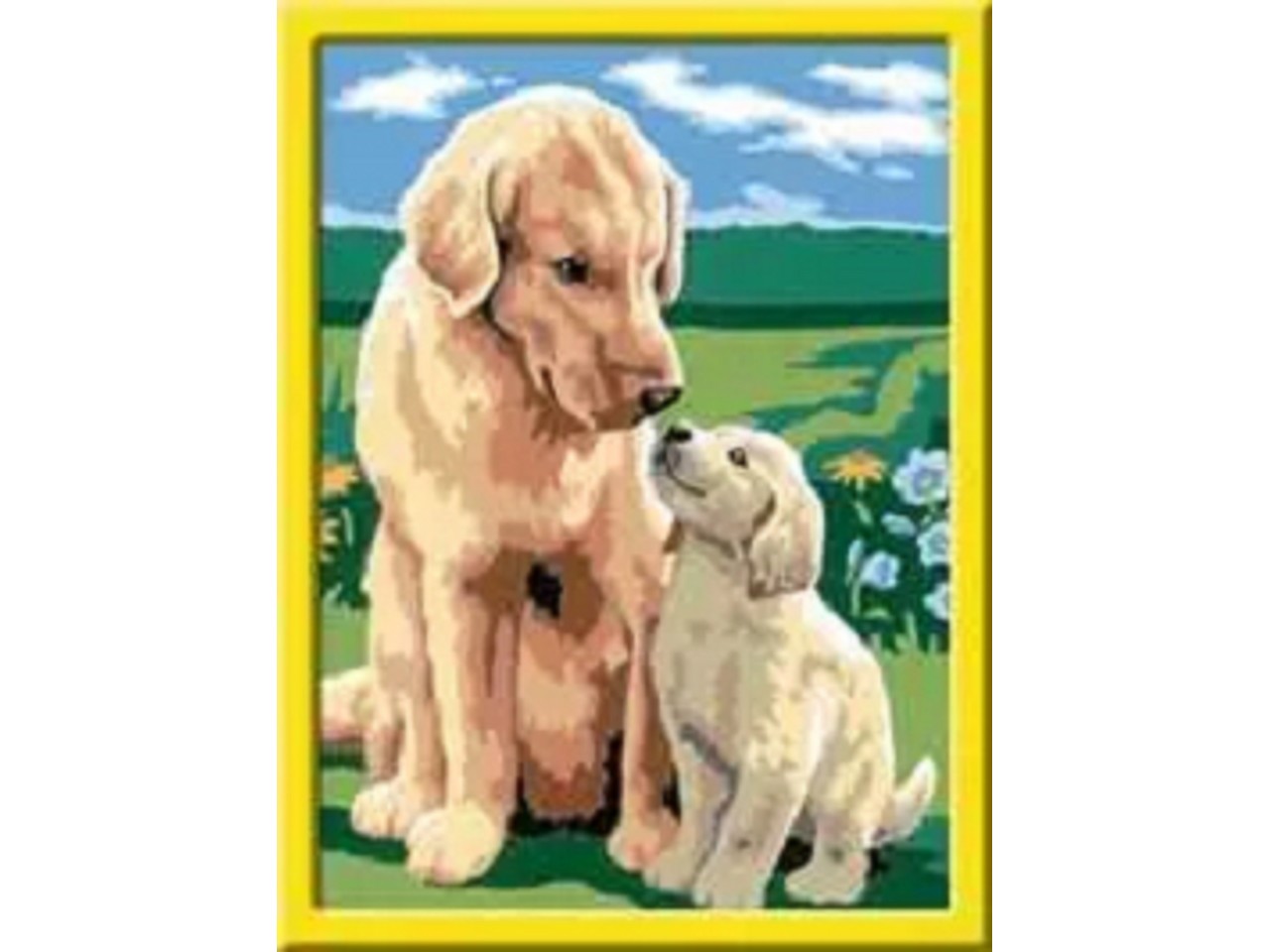 CREART  RETRIEVER SUL PRATO 20048 1