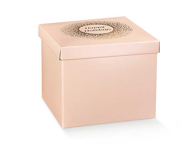 L.SPOT CIPRIA SCATOLA C/COP.300x300x240 38983