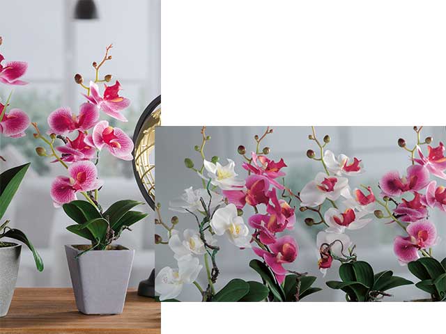 VASO C/ORCHIDEA 5F 8x34cm 59002 VASO C/ORCHIDEA 5F 8x34cm 59002