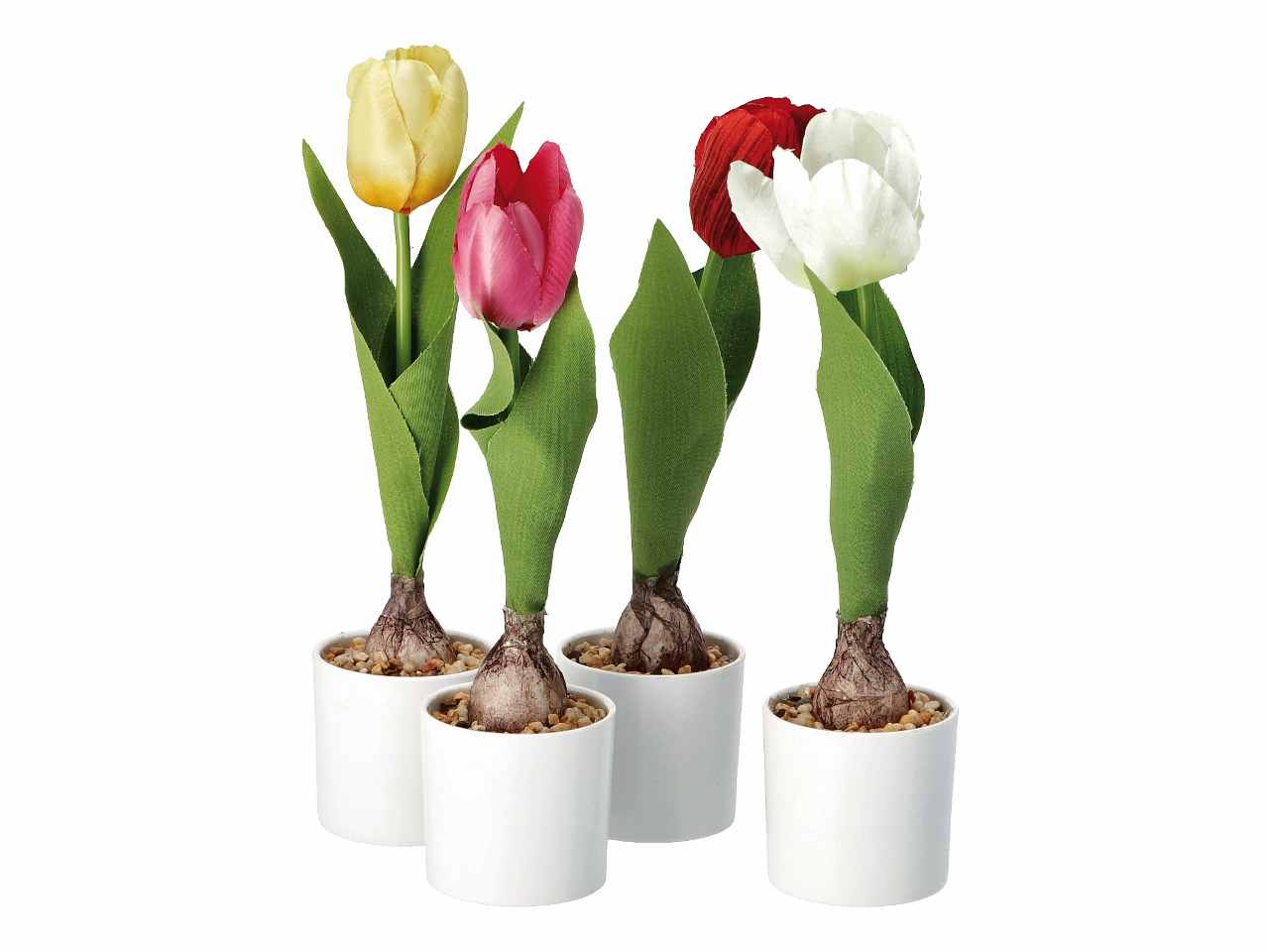 VASO C/TULIPANI D7xH25cm 74874 VASO C/TULIPANI D7xH25cm 74874