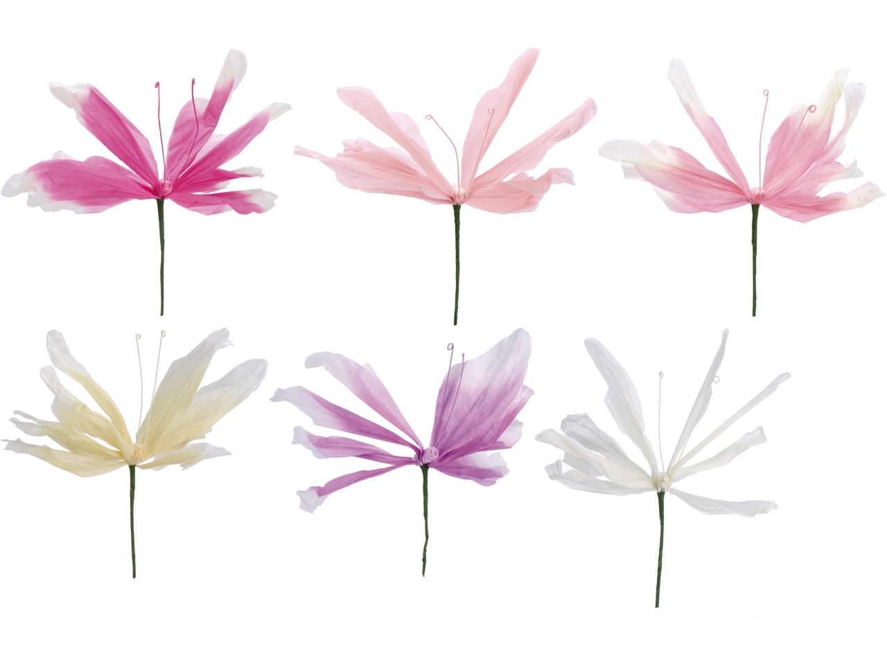 FARFALLA DI CARTA 33X60CM ASS 112199