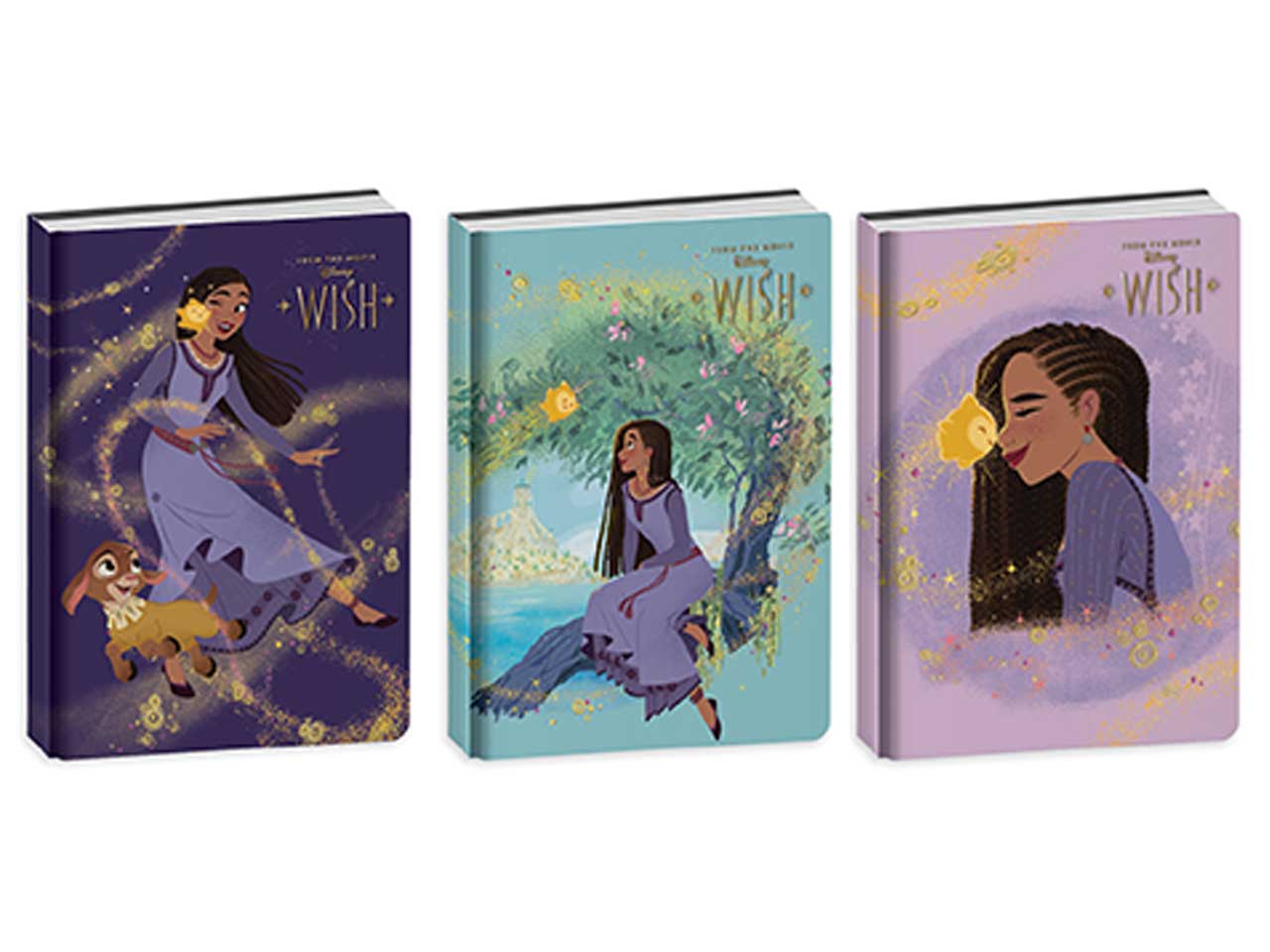 DIARIO AGENDA 10MESI WISH 50H602400-000 DIARIO AGENDA 10MESI WISH 50H602400-000