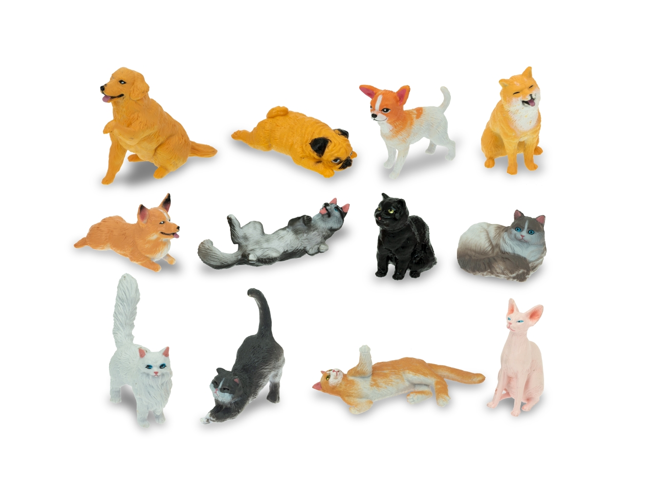 GEO NATURE – CANI E GATTI 12 ASS. 80019 GEO NATURE – CANI E GATTI 12 ASS. 80019