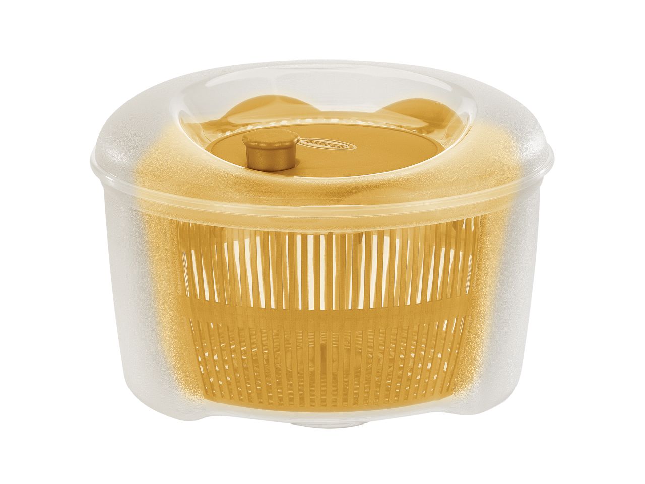 SCOLAINSALATA RUCOLA CON CEN 9072298ABV SCOLAINSALATA RUCOLA CON CEN 9072298ABV