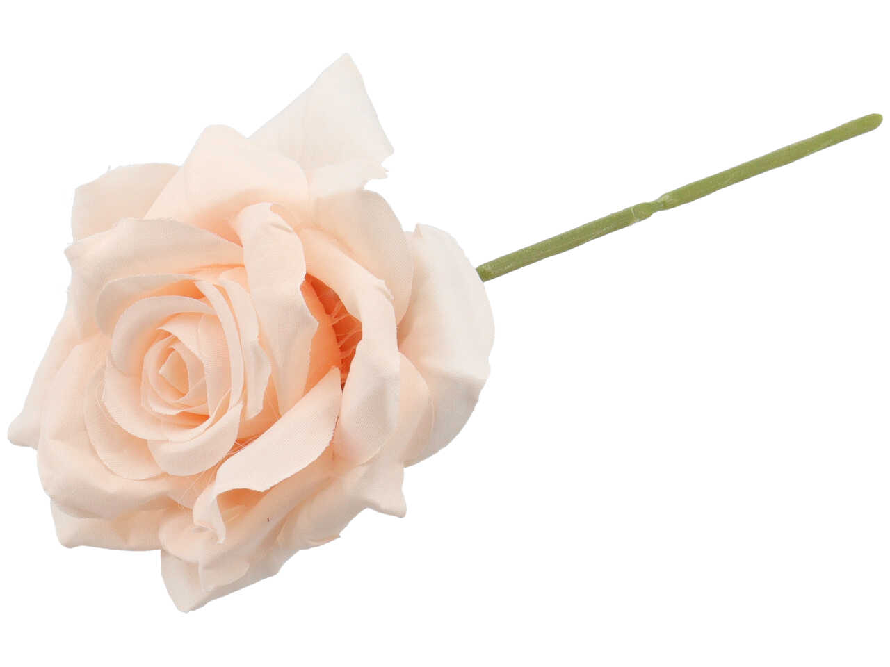 ROSA RAMPICANTE CIPRIA 6pz.CK9054 CP ROSA RAMPICANTE CIPRIA 6pz.CK9054 CP