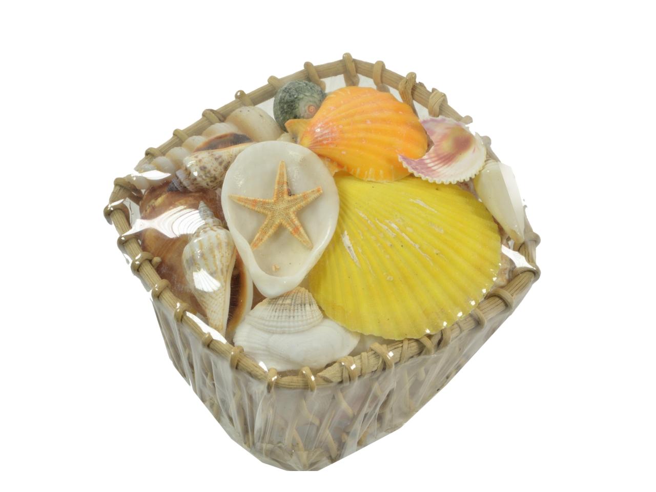 DECORAZ. MARE CONCHIGLIA ASS 1854180000