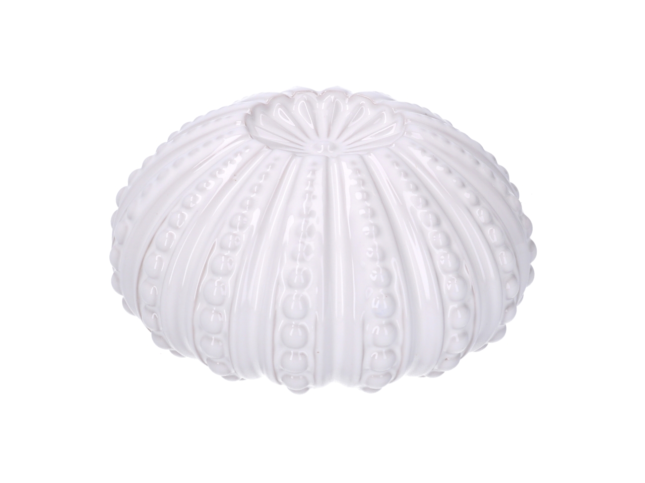 RICCIO MARE BIANCO18,1X9,3 5128160000