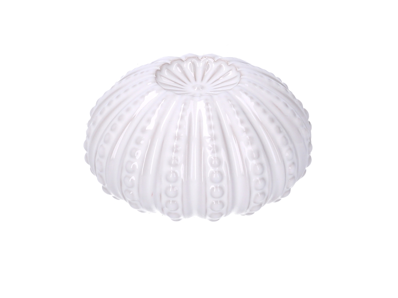 RICCIO MARE BIANCO 10,3X5,4 5128170000