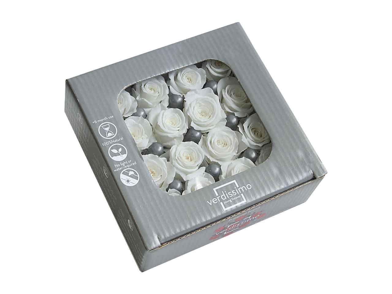 ROSA STABILIZZATA BIANCA 16pz RSP/4000