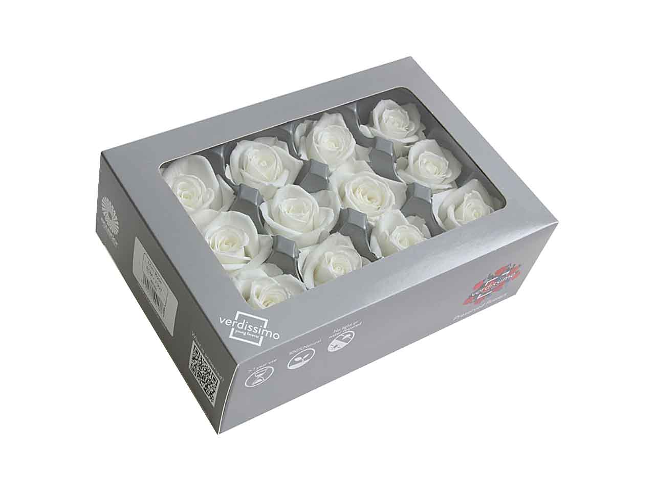 ROSA STABILIZZATA BIANCA 12pz RSM/1000